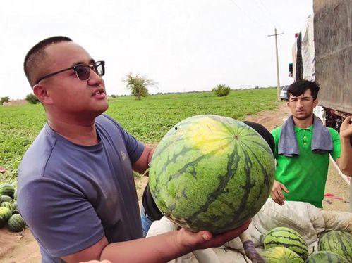 壁纸头像图片大全app安卓版下载地址 