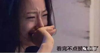 出轨已不需再爱 