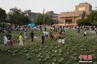 黑料吃瓜网apk普通安装 