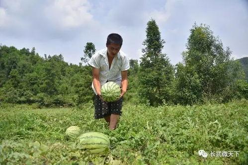 黑料吃瓜网apk普通安装 