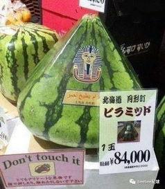 广州全家康平安通 