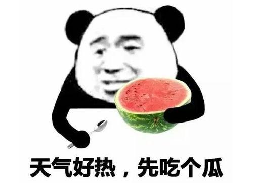 黑料吃瓜网apk普通安装 