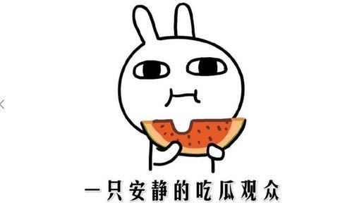 黑料吃瓜网apk普通安装 