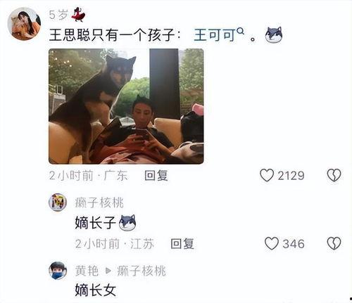黑料吃瓜网apk普通安装 
