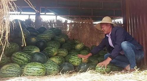 黑料吃瓜网apk普通安装 