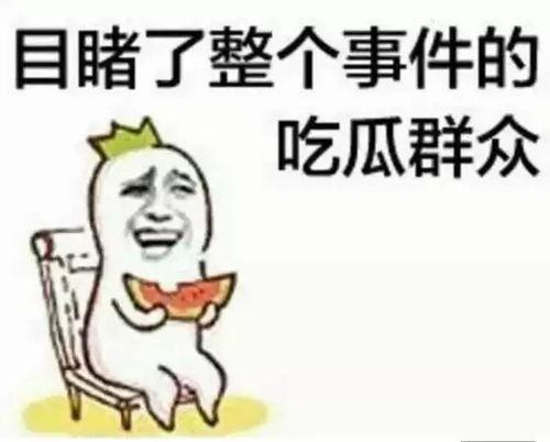 掌上朝阳 